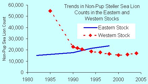 trends in non-pup steller seal lion counts in the eastern and western stocks from 1980-2005