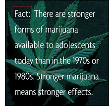 Fact: There are stronger forms of Marijuana available to adolescents today than in the 1970s or 1980s. Stronger marijuana means stronger effects.