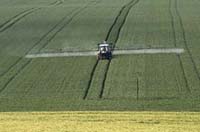 Cropduster spraying field