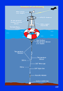 schematic of standard ATLAS mooring
