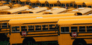 School busses parked