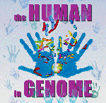 The Human in Genome
