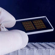DNA microarray, DNA chip, test