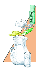 Ilustración de agua, caramelos y saliva artificial