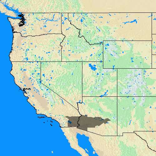 Domain Coverage for Pheonix, AZ