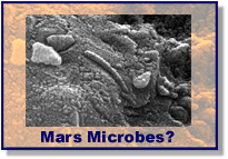 Features in a Martian Meteorite that Resemble Biosignatures Left by Earthly Microbes