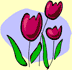 Image of three tulips