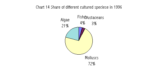 Chart 14: Share of different culture species in 1996.