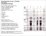 Calibrated IEF Gel Image