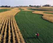 NRCS' 2008 Conservation Security Program signup to help  more farmers and ranchers put more conservation on the land. CSP rewards and encourages the use of conservation practices, such as stripcropping, to protect and sustain natural resources. NRCS image.