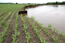 Eroded streambank in Dallas County, Iowa