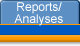 Reports/Analyses