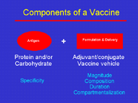 Slide 1: Components of a Vaccine