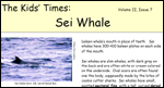 front page of Kids' Times for Sei Whale