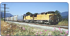 Freight train moving through wildflower field with blue
Mountains behind.