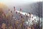 Photo of the Delaware River near Hawks Nest Overlook, N.Y.