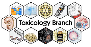 The diagram is a representation of the variety of materials the Toxicology Branch tests as well as the many aspects of biology research it covers. Some of the examples in the graphic include endocrine disruptors, cell phones, cancer and fetal development.