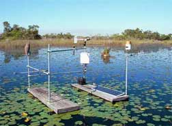 photo of an evapotranspiration site in Loxahatchee National Wildlife Refuge