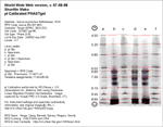 Calibrated IEF Gel Image