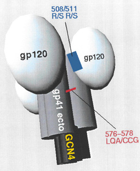 Schematic representation