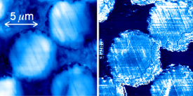 Composite image of AFM scans from new instrument.