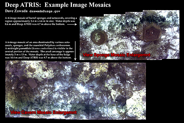 Examples of images taken by Deep Along Track Reef Imaging System.  A 4-image mosaic of barrel sponges and octocorals. Water depth was 8.6 meters and Deep Along Track Reef Imaging System was 4.7 meters above the bottom.