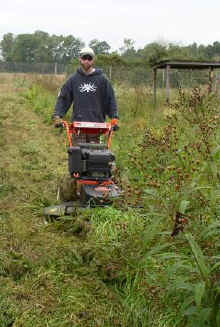 Record rainfalls this year have caused record vegetation growth, which the crew battles with an army of mowers, photo by Kathleen O'Malley