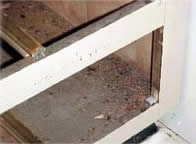 Interior of cabinet with cockroach body parts and feces