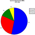 pie chart showing species impacted by UMEs