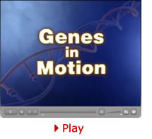 Genes In Motion Image. Play video.