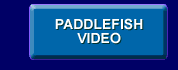 paddlefish video files