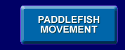 paddlefish movement