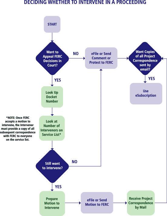DECIDING WHETHER OR NOT TO INTERVENE IN A PROCEEDING FLOWCHART