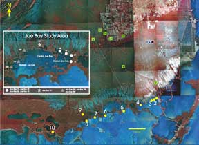 Map showing locations of Joe Bay sites