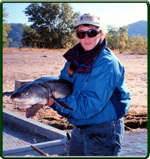 Researchers are investigating how locks and dams effect lake sturgeon.