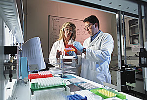 Two scientists in a DNA sample preparation lab