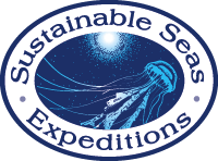 sustainable seas expeditions logo