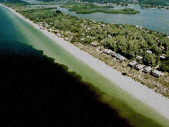 This photo shows a classic “red tide” (although this one is brown in appearance) that occurs almost every summer along portions of Florida’s Gulf Coast.