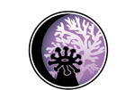 coral reef icon