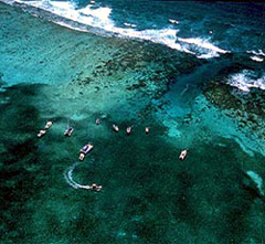 Belize coast