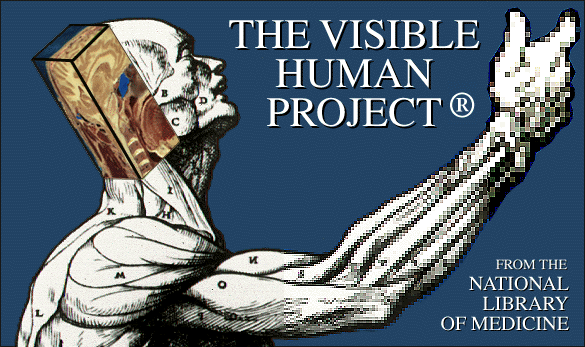 Visible Human Project Home Page