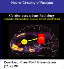 Link - PowerPoint presentation: Neural Circuitry of Relapse