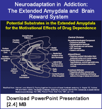 Link - PowerPoint presentation: Neuroadaptation in Addiction: The Extended Amygdala and Brain Reward System