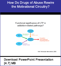 Link - PowerPoint presentation: How Do Drugs of Abuse Rewire the Motivational Circuitry?