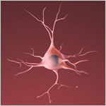 Image of healthy neuron