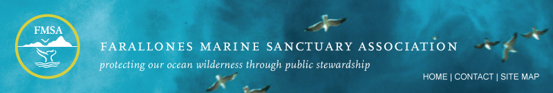 Farallones Marine Sanctuary Association protecting our ocean wilderness through public stewardship