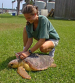 photo of biologist and turtle