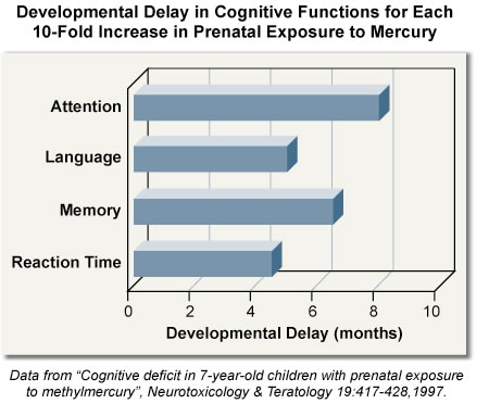 Mercury & Neurodevelopment: Developmental Delay in Cognitive Functions for Each 10-Fold Increase in Prenatal Exposure to Mercury