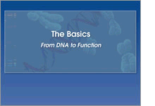 Slide show cover - The Basics, From DNA to Function