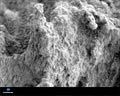 Mars Wallpaper: Microscopic Image of Mars Rock